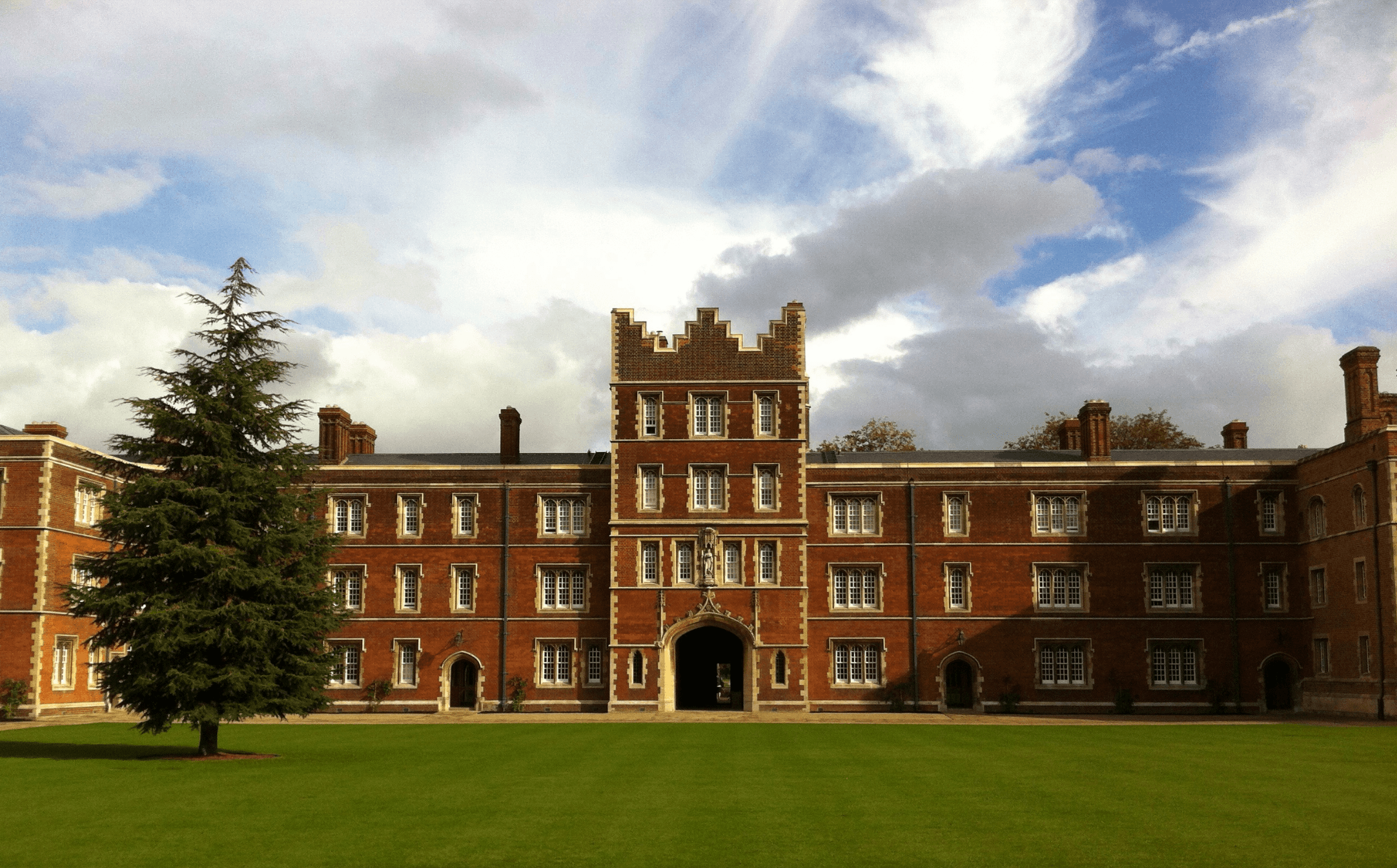 MACA FORCE - Organic Maca Root Supplement